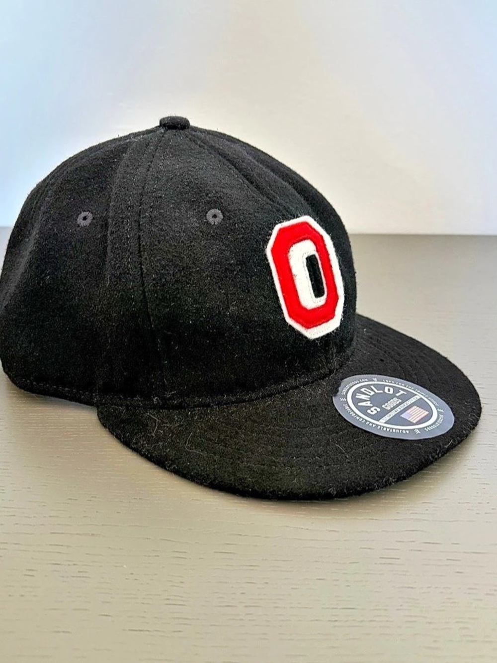 NWOT Ohio State Buckeyes Homage x Sandlot Goods hat!